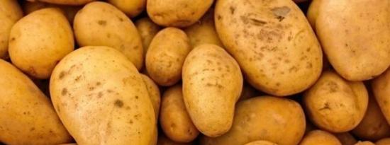 研究发现土豆中的益生元实际上降低了胰岛素抵抗
