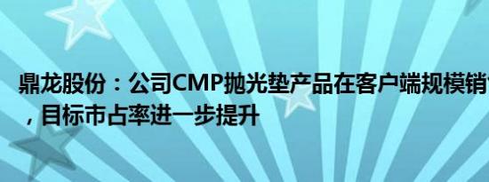 鼎龙股份：公司CMP抛光垫产品在客户端规模销售稳步推进，目标市占率进一步提升