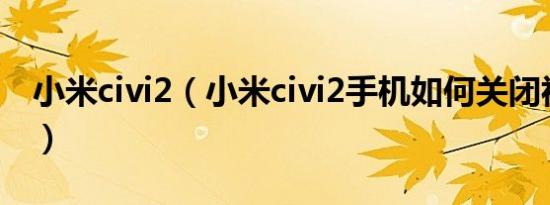 小米civi2（小米civi2手机如何关闭视频通话）